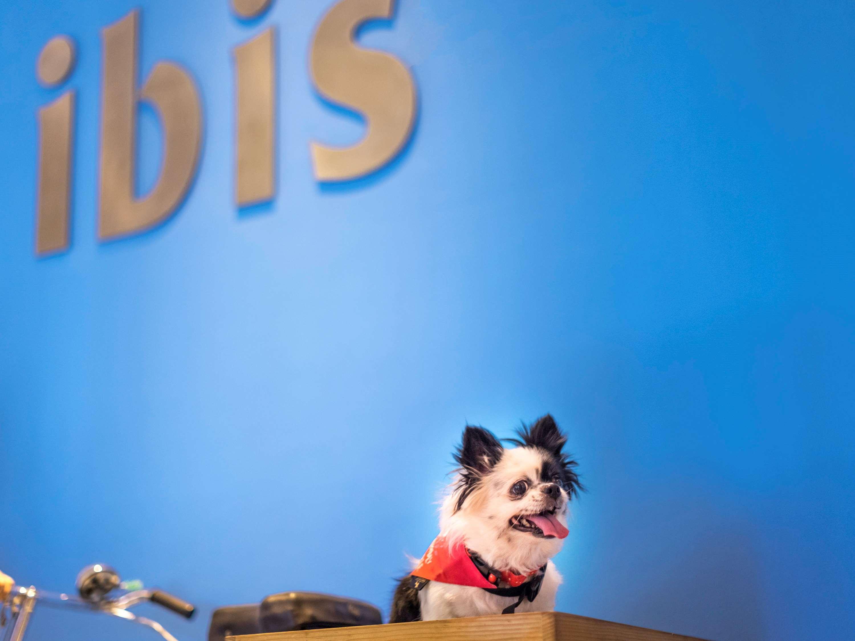 Hotel Ibis Viman Nagar - An Accor Brand Pune