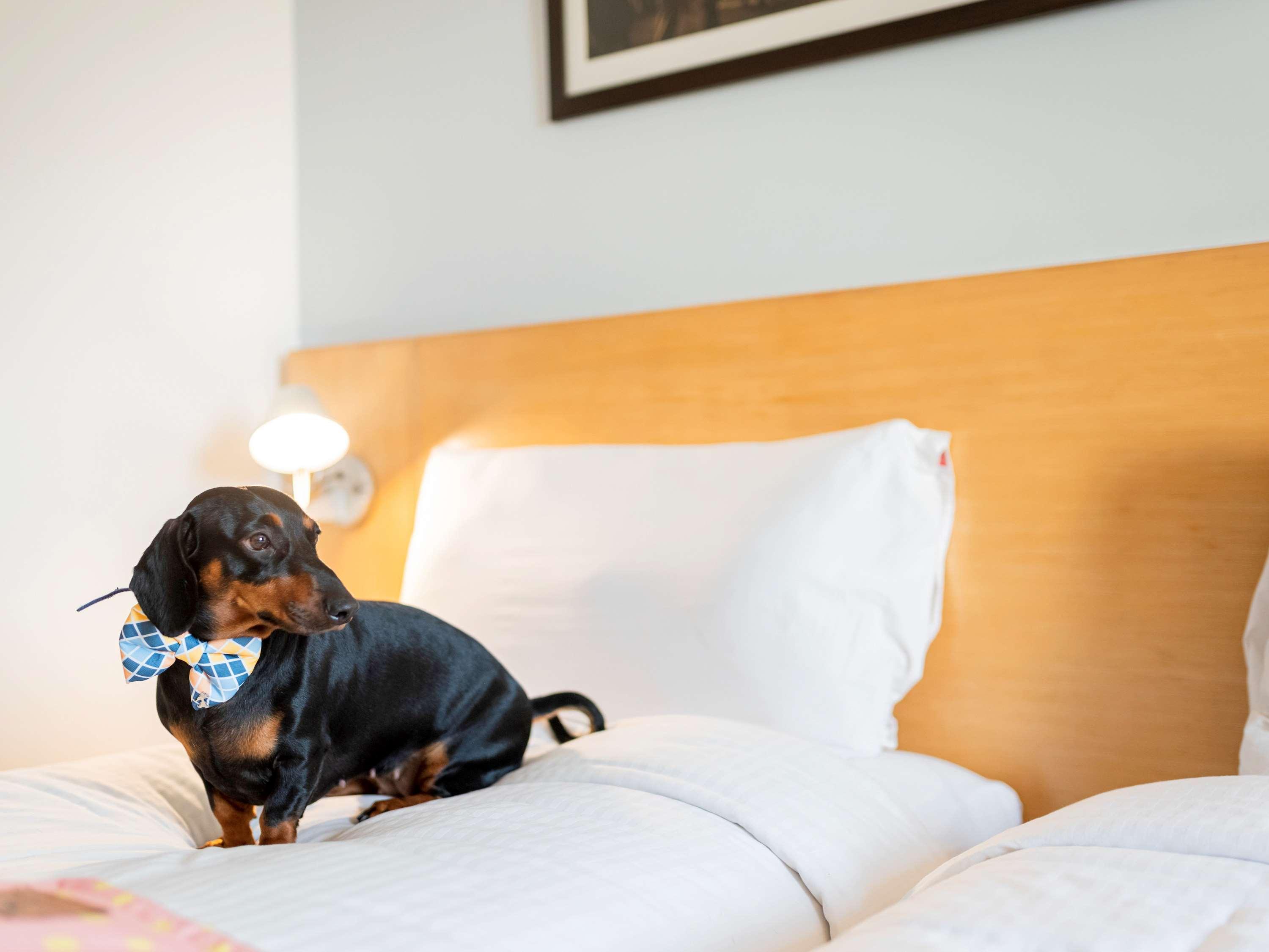 Ibis Viman Nagar - An Accor Brand Hotel Pune