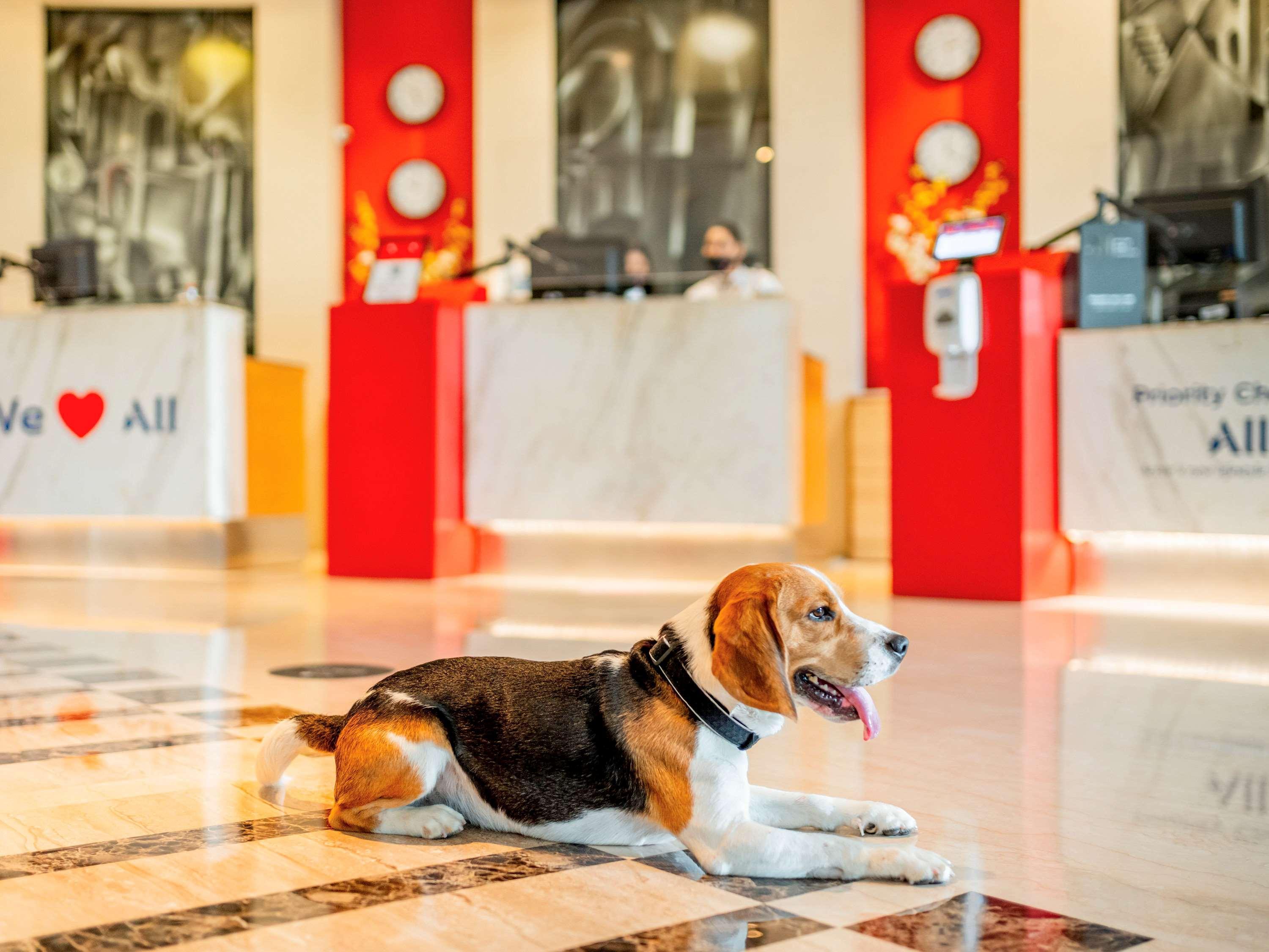 Hotel Ibis Viman Nagar - An Accor Brand Pune
